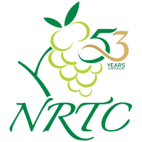 NRTC Holding Group